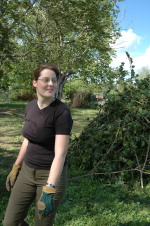 Cliquez pour agrandir