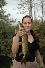 Cliquez pour agrandir