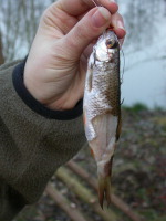 Cliquez pour agrandir