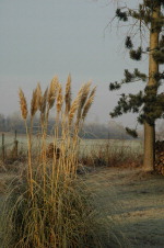 Cliquez pour agrandir